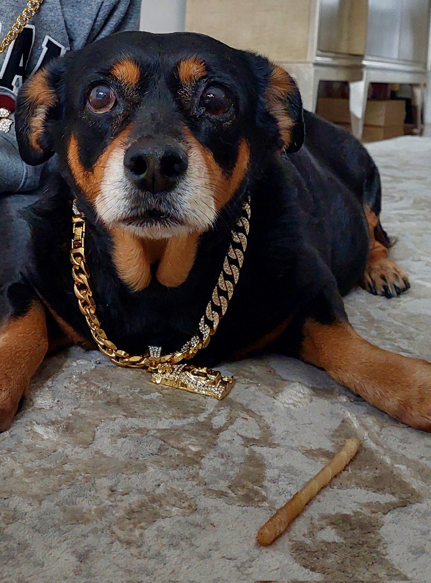 Richard Petko tweet media