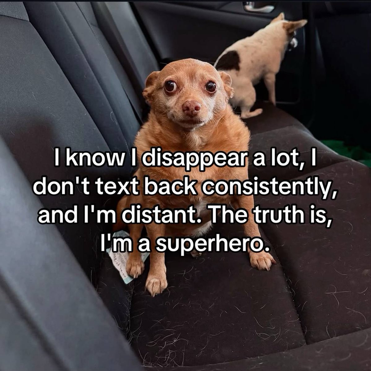 I have a confession guys