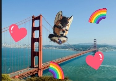 Who am I gonna be seeing at SF PRIDE and Bay Area house parties this weekend?!?!  🐶