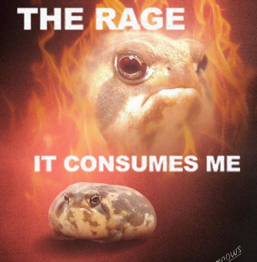 No Context Frogs (@nocontextfrogs) on Twitter photo 