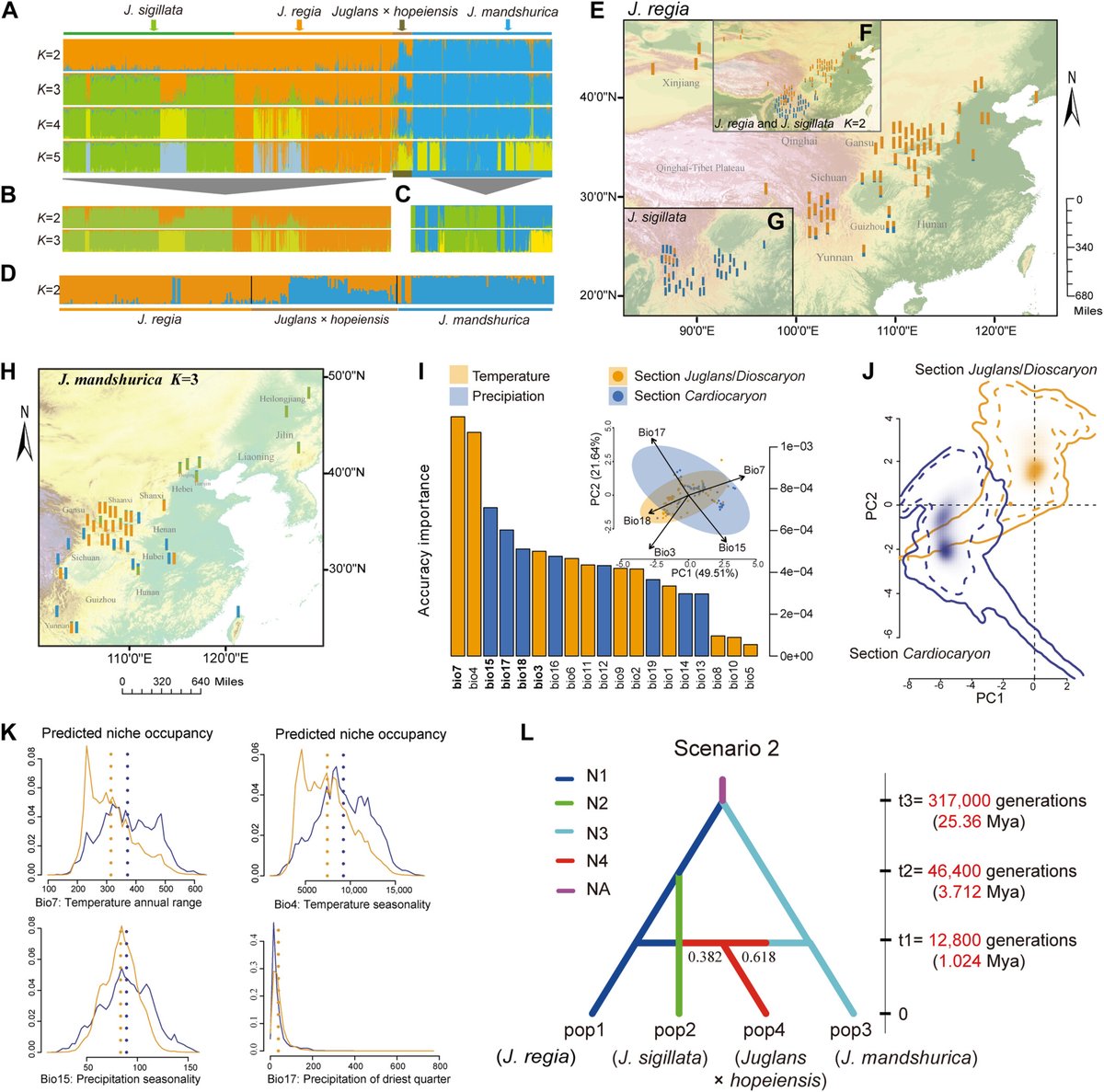 JournalSysEvo's tweet image. This one is for the #squirrels in the crowd!
Deng et al. use population #genetic structure, interspecific relationships, lineage differentiation, and #speciation to reconstruct the #evolutionary history of #Chinese #walnuts! doi.org/10.1111/jse.13… @WileyEcolEvol #evolution #JSE