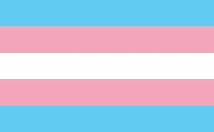 darlinglacy_'s tweet image. 