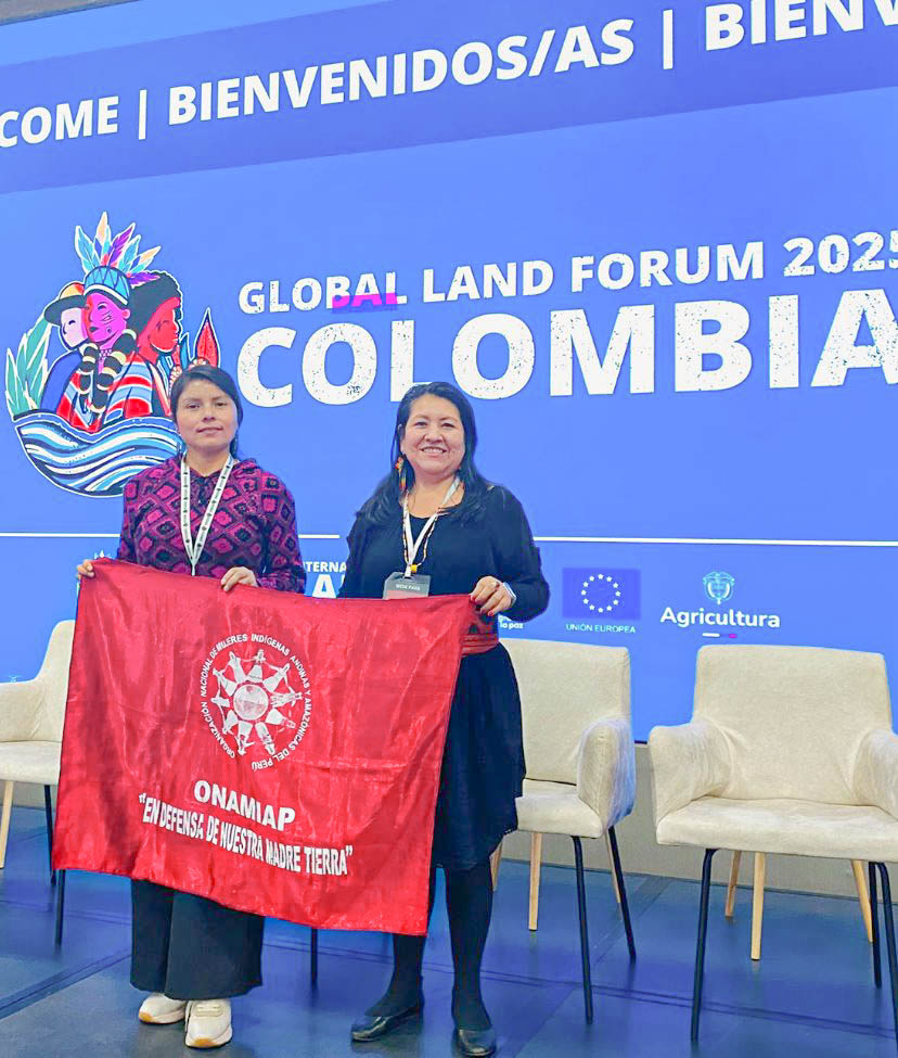 ONAMIAP #HastaqueCaigalaDictadura tweet media