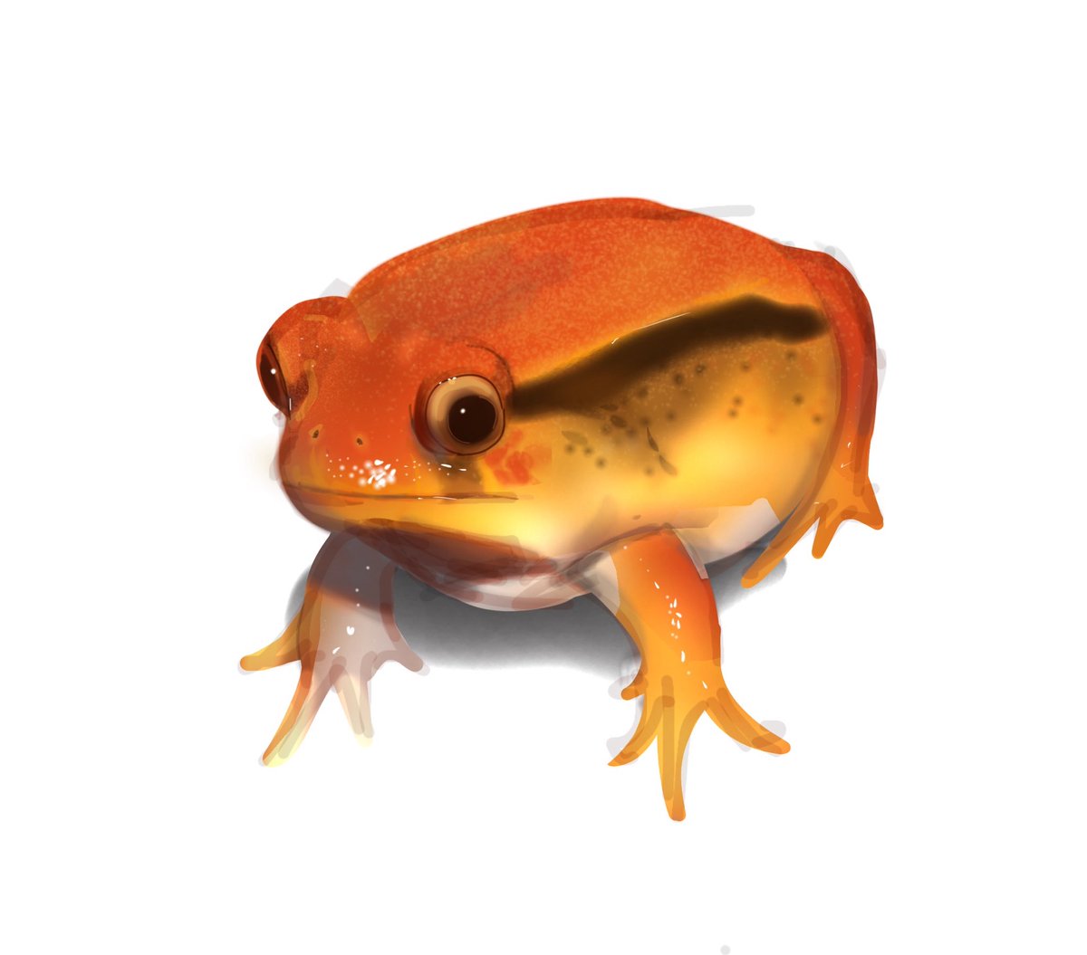Cheeseburger ahh frog I drew a while ago #art #artmoots