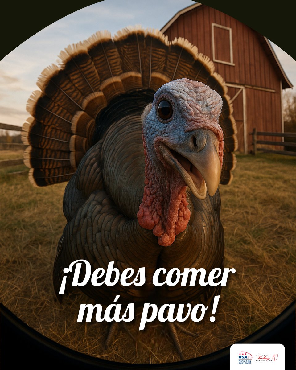 SaborUSA tweet media