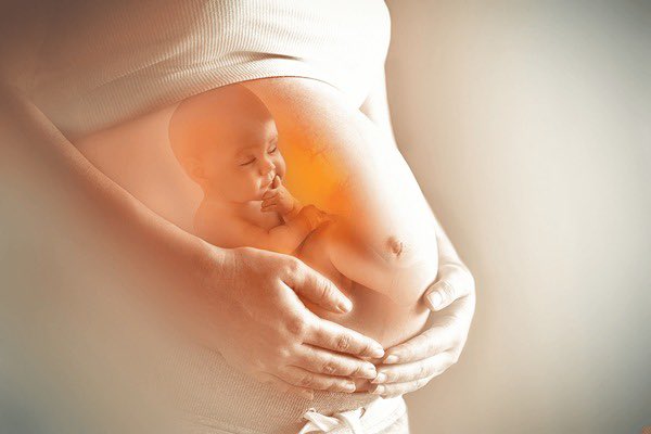 RepClayHiggins's tweet image. Three years ago, the Supreme Court rightfully eliminated federalization of abortion and returned legislative authority to the states and Congress. However, abortion remains a horror in our country. It’s the number one killer of children in America and has left a deep spiritual…