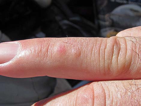 ᴊᴀᴄᴏʙ ᴜʀᴏᴡꜱᴋʏ tweet media