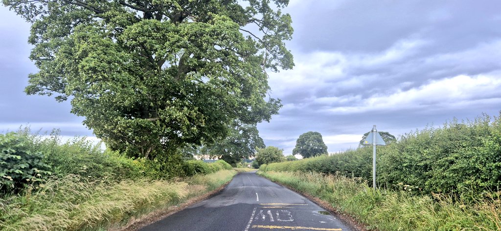 Anthony McGeeney (@a_mcgeeney) on Twitter photo Tuesday miles. Tired legs today but steady 13 miles. Almost taper time ๐คฉ <a href="/WeAreERC/">Educators Running Club ๐ณ๏ธโ๐๐ณ๏ธโโง๏ธ</a> Tuesday miles. Tired legs today but steady 13 miles. Almost taper time ๐คฉ <a href="/WeAreERC/">Educators Running Club ๐ณ๏ธโ๐๐ณ๏ธโโง๏ธ</a>