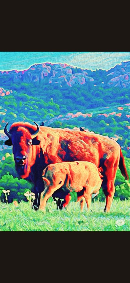 ljtabor's tweet photo. Gemini ai made this image from my brother in laws photo. I asked it to give the photo a Jeff Tabor art effect. https://t.co/zgULZfbyEP
