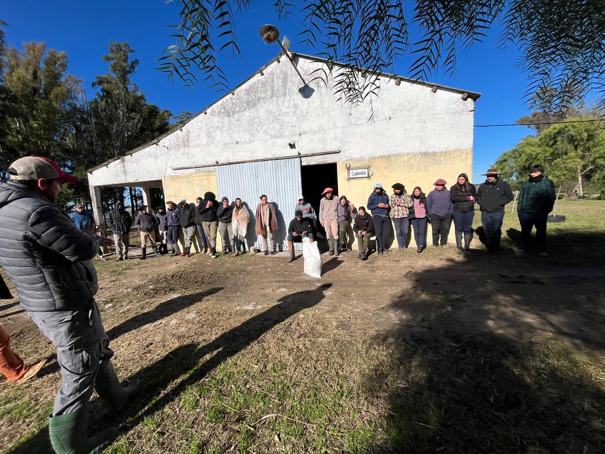 #caminoalprado se prepara la Jura de Novillos a Bozal 2025
Por tercer año consecutivo, ERRO, <a href="/BarracaErro/">Barraca Erro</a> la Sociedad Criadores de Hereford y <a href="/UTU_Uruguay/">UTU</a> se unen para llevar adelante el proyecto “Novillos a Bozal”, una iniciativa educativa y formativa que crece año a año.

En
