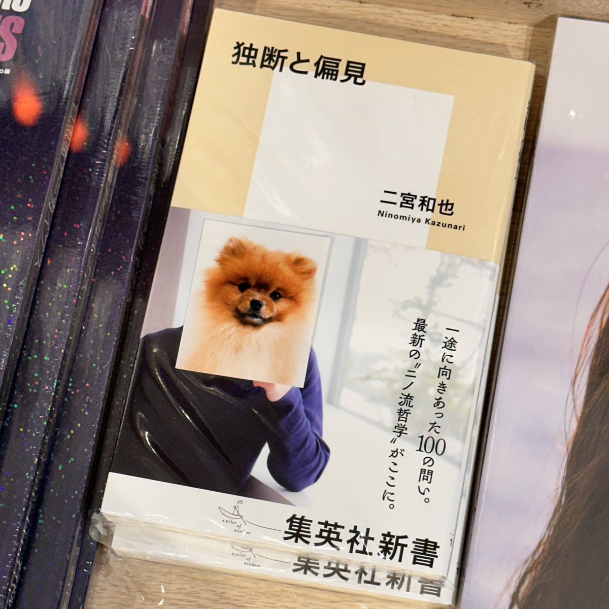 Mandom5354's tweet photo. 【#独断と偏見】 
伊貝：爸爸，快買這本書給姑姐！
（始終還是親力親為用Photoshop改圖才有最理想效果）
🐶🎀🐶🎀🐶🎀 
ฅ•ﻌ•ฅ 
#二宮和也 #新書 #Photoshop
#pomeranian #博美 #松鼠狗 #ポメラニアン #伊貝 #pomeeevee #イーブイ https://t.co/UekebPyJfe