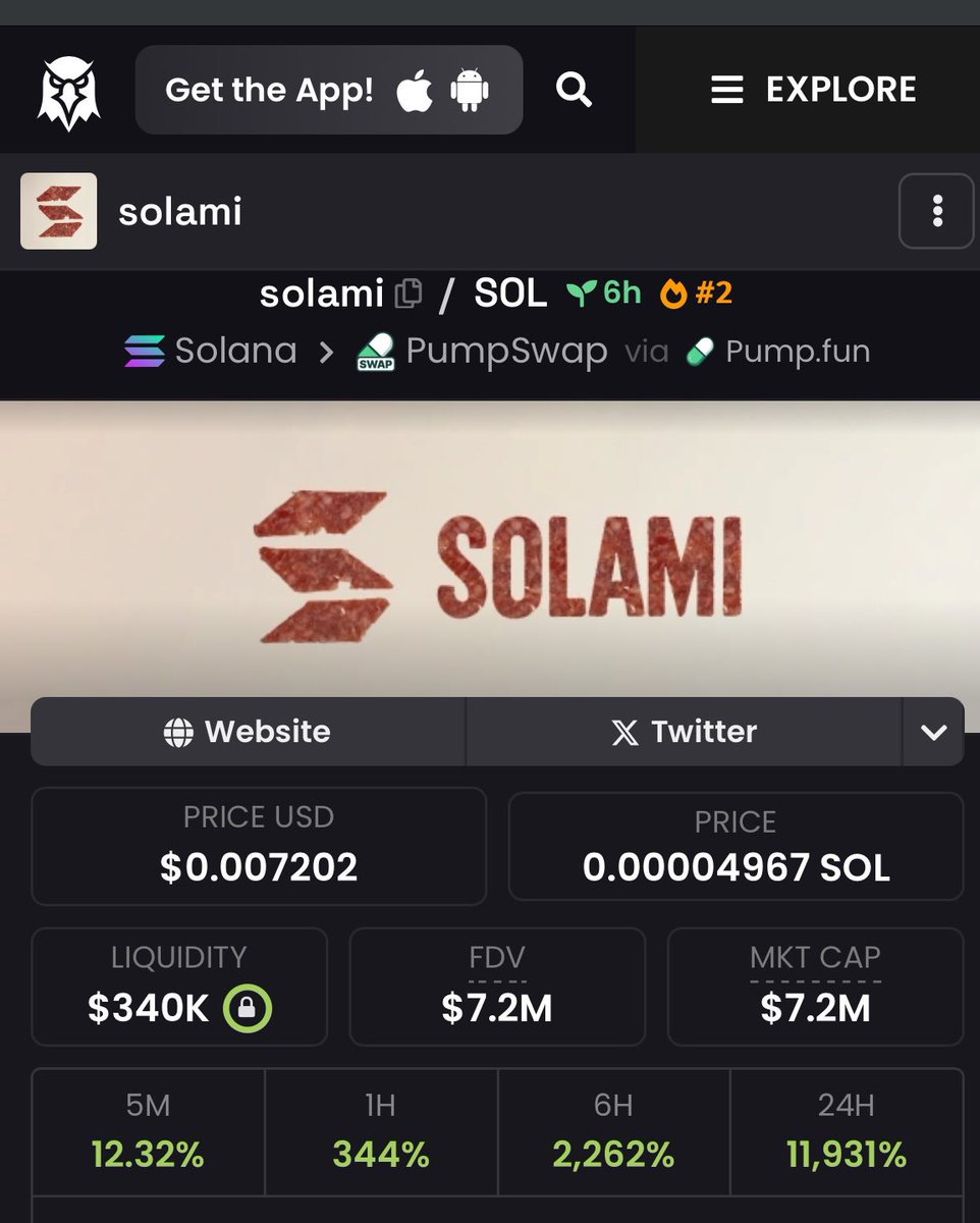SO INSANELY BULLISH $SOLAMI