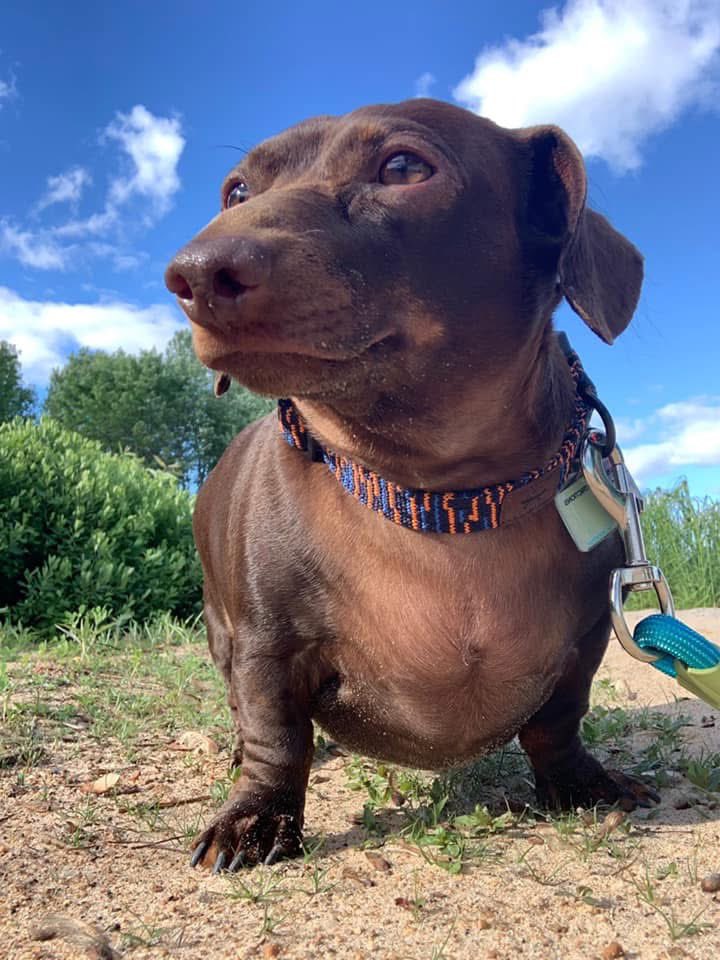 Showing off his beach bod 🏝️