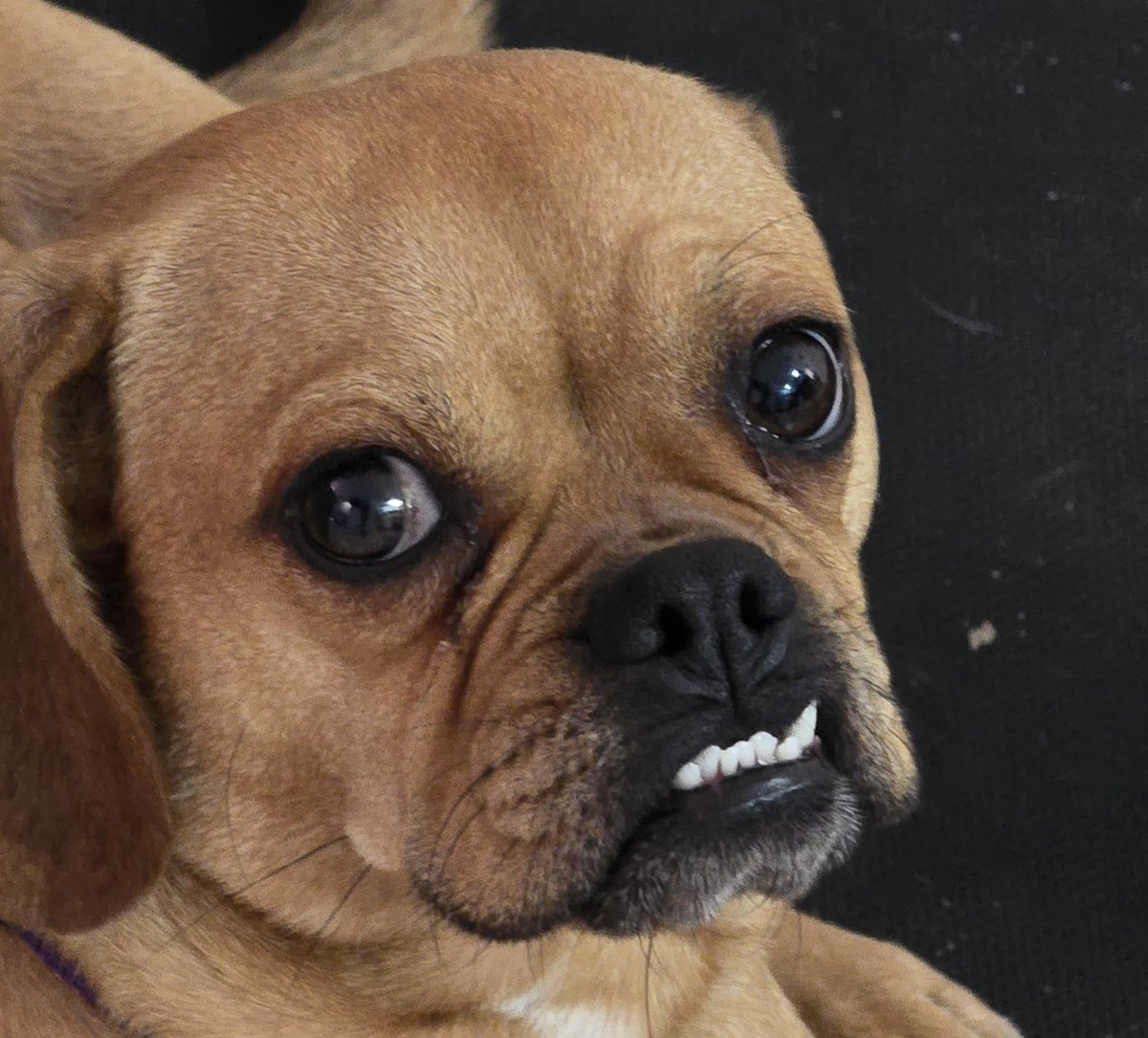 Mi novia: Yo no sé partir un pollo
Yo: Si quieres lo checo y lo parto
Ella: Ay no, vas a hacer un desmadre 
Yo: