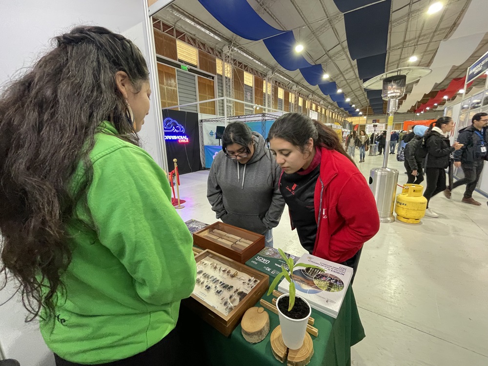 FacforenPrensa's tweet photo. Estuvimos presentes en Torrencial by UTMB 2025!!🏃🎽💨
https://t.co/mTyISCnTfc
#UACh #running #bosque #selvavaldiviana #naturaleza #deporte #Torrencial #UTMB https://t.co/Zxg6iOoM5b