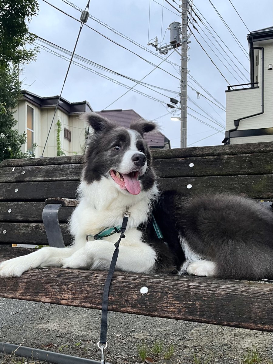 おはようございます😊

降りそうで降らない4時半の空
本日もよろしくお願いします
