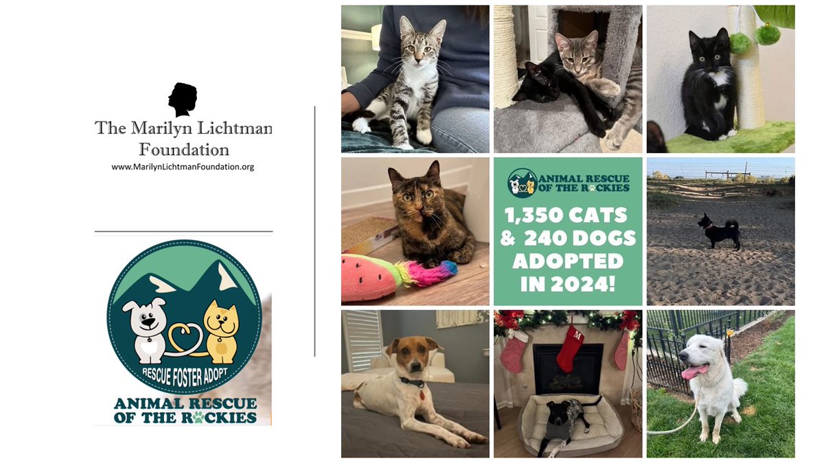 M_L_Foundation's tweet image. We are happy to announce #grant funding to @ARRColorado. ARR rescues animals facing imminent #euthanasia in underserved shelters. Our funds will help fund their ability to spay/neuter, vaccinate, and microchip pets prior to adoption. #AdoptDontShop