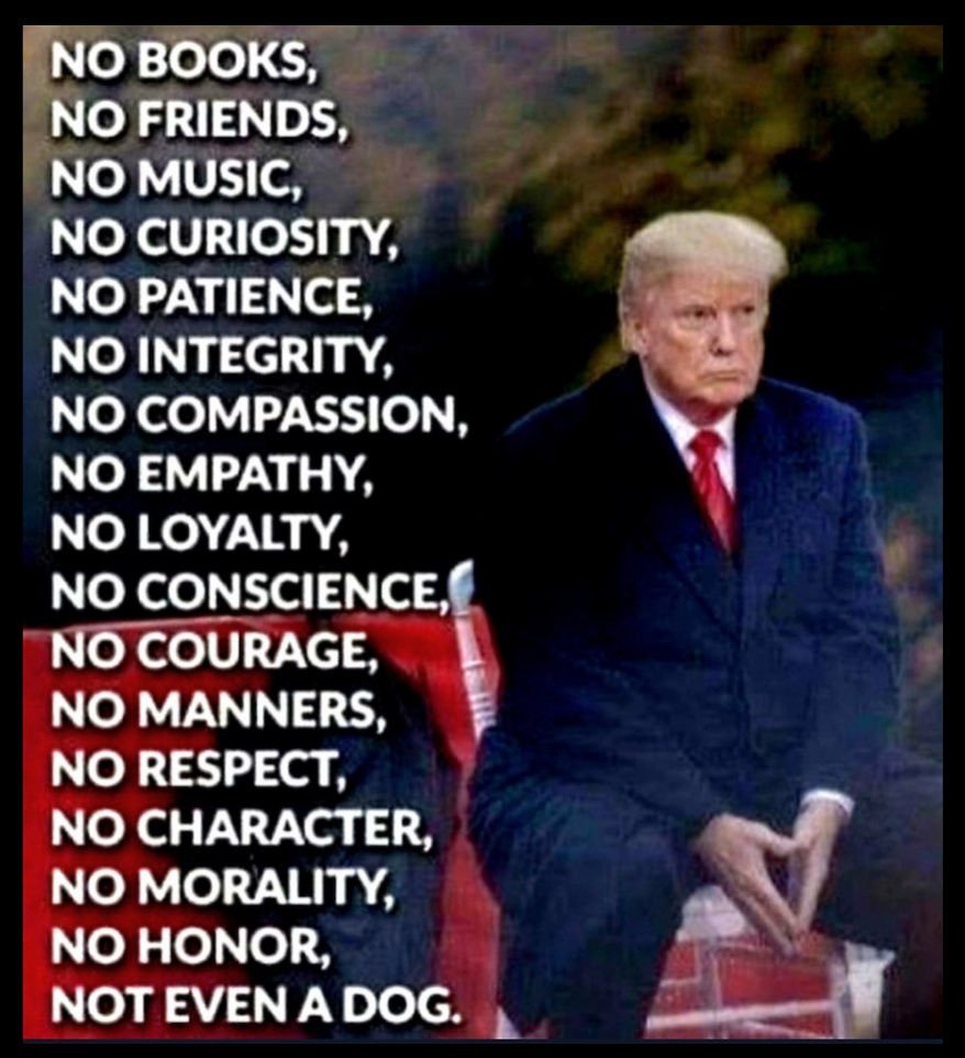 Damaan4u33's tweet photo. Who agrees, Trump's got absolutely not a single thread of human decency? ✋️ https://t.co/c4hHGQVwCs