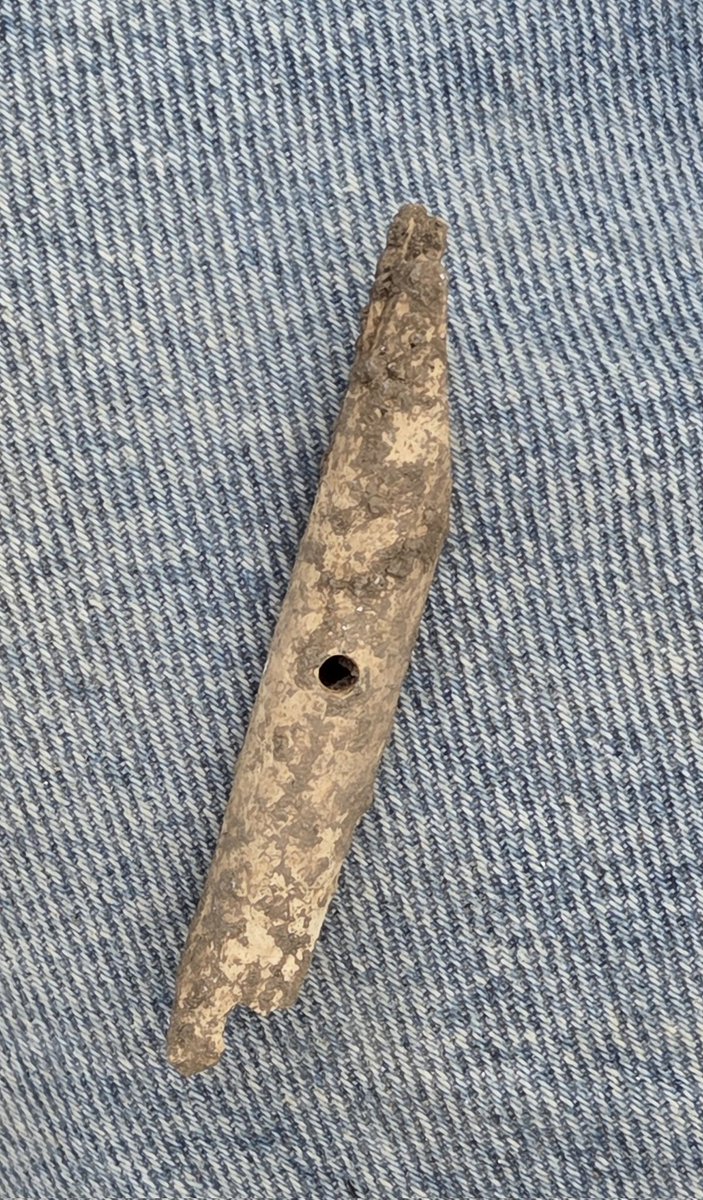 Durotrigesdig's tweet photo. A pierced animal bone that Amy, Ruby and Finn have just recovered from the fill of an Iron Age pit

Curious 🤔

Needle, toggle or something else entirely? 

#Durotriges25 https://t.co/i92z62pq0X