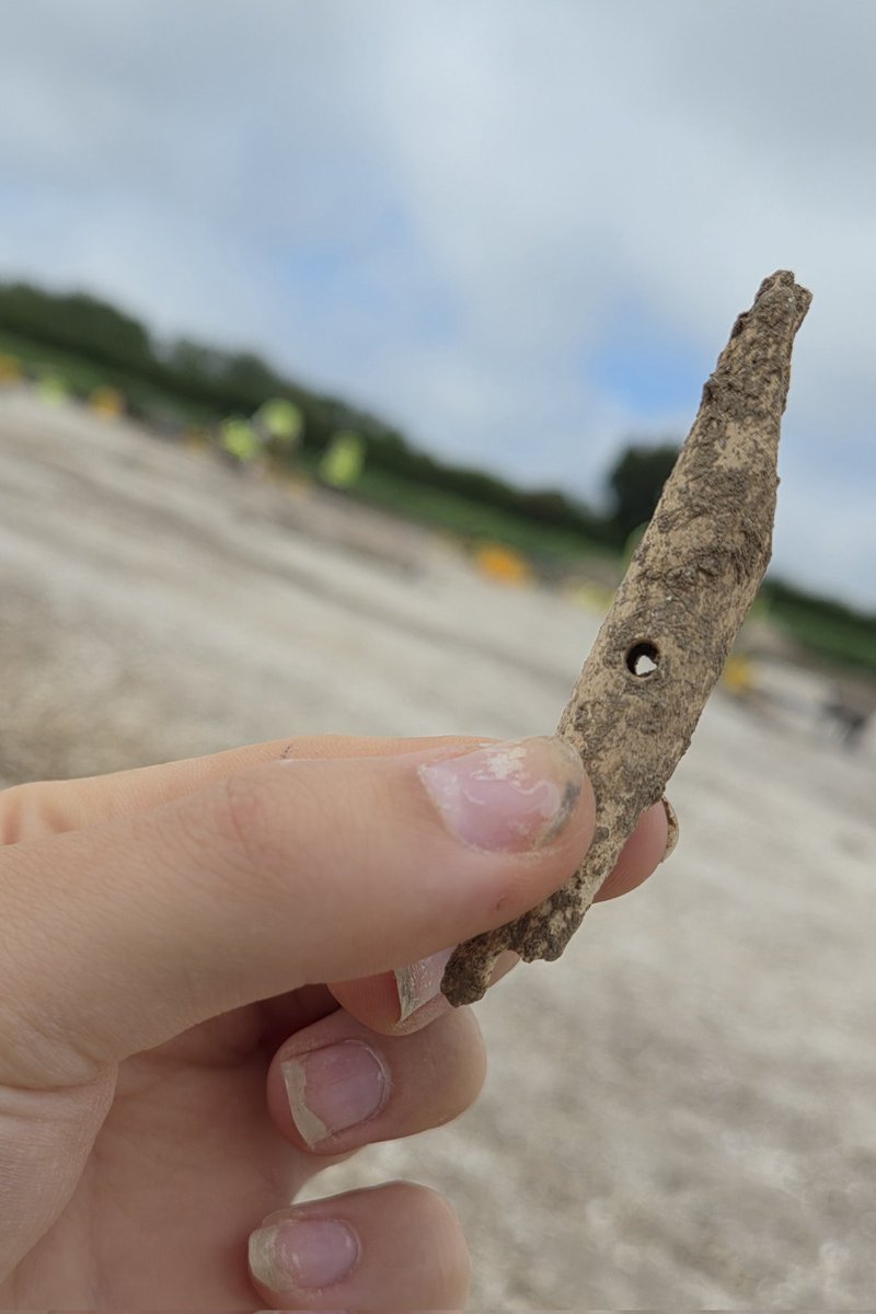 Durotrigesdig's tweet photo. A pierced animal bone that Amy, Ruby and Finn have just recovered from the fill of an Iron Age pit

Curious 🤔

Needle, toggle or something else entirely? 

#Durotriges25 https://t.co/i92z62pq0X