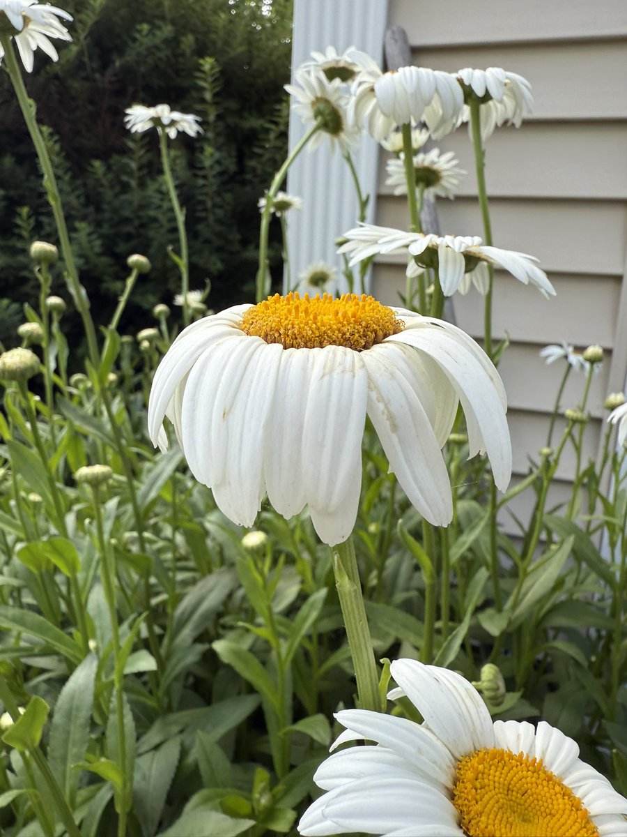 This about sums up the weather.