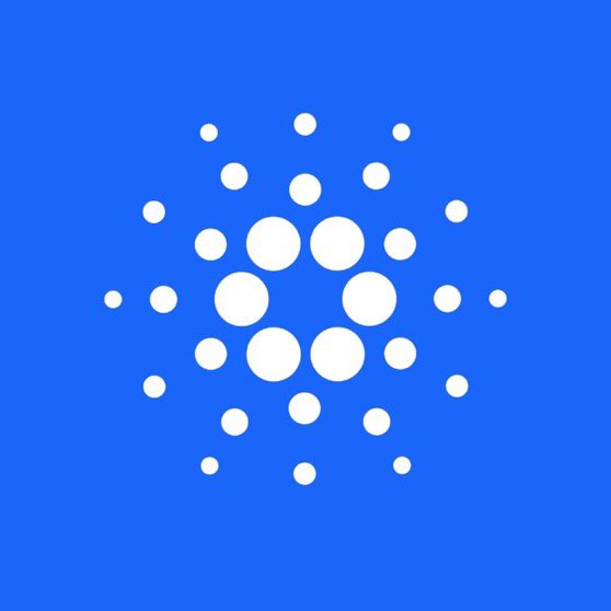 TapTools's tweet photo. JUST IN: 96% of $BODEGA holders (@BodegaCardano) are sitting in profit—one of the highest win rates on Cardano right now. https://t.co/fBWySE2O8X