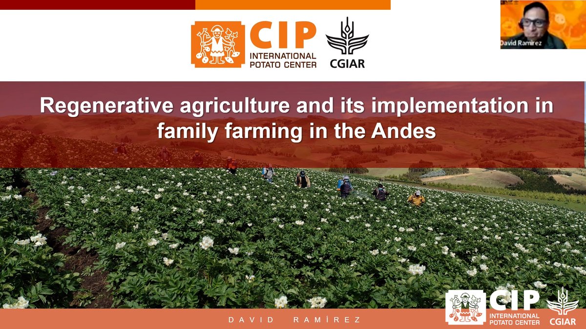 🌱 Regenerative agriculture in the Andes
New video breaks down:
 🔹 How mulching cuts costs by 20%
 🔹 Why burning crop residues is a lose-lose
 🔹 The danger of "one-size-fits-all" solutions
Talk👉 youtu.be/rHU7YgvfSl8
🤝 <a href="/Cipotato/">International Potato Center</a>  + <a href="/investigacionAP/">Investigación Agraria - Asociación Pataz</a> + <a href="/giz_gmbh/">GIZ</a>