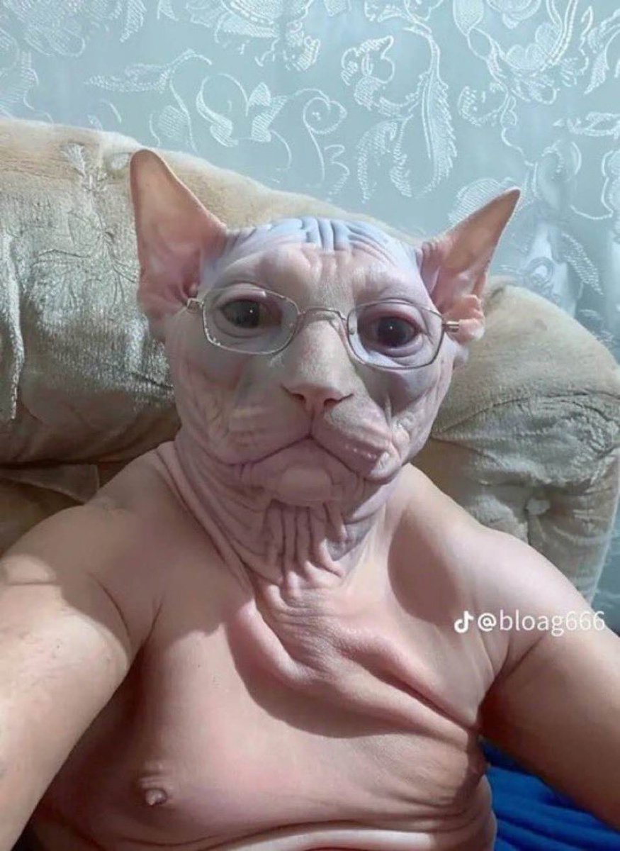 minishnocap's tweet image. wait #orbits
is it safe to stream loonas songs now?