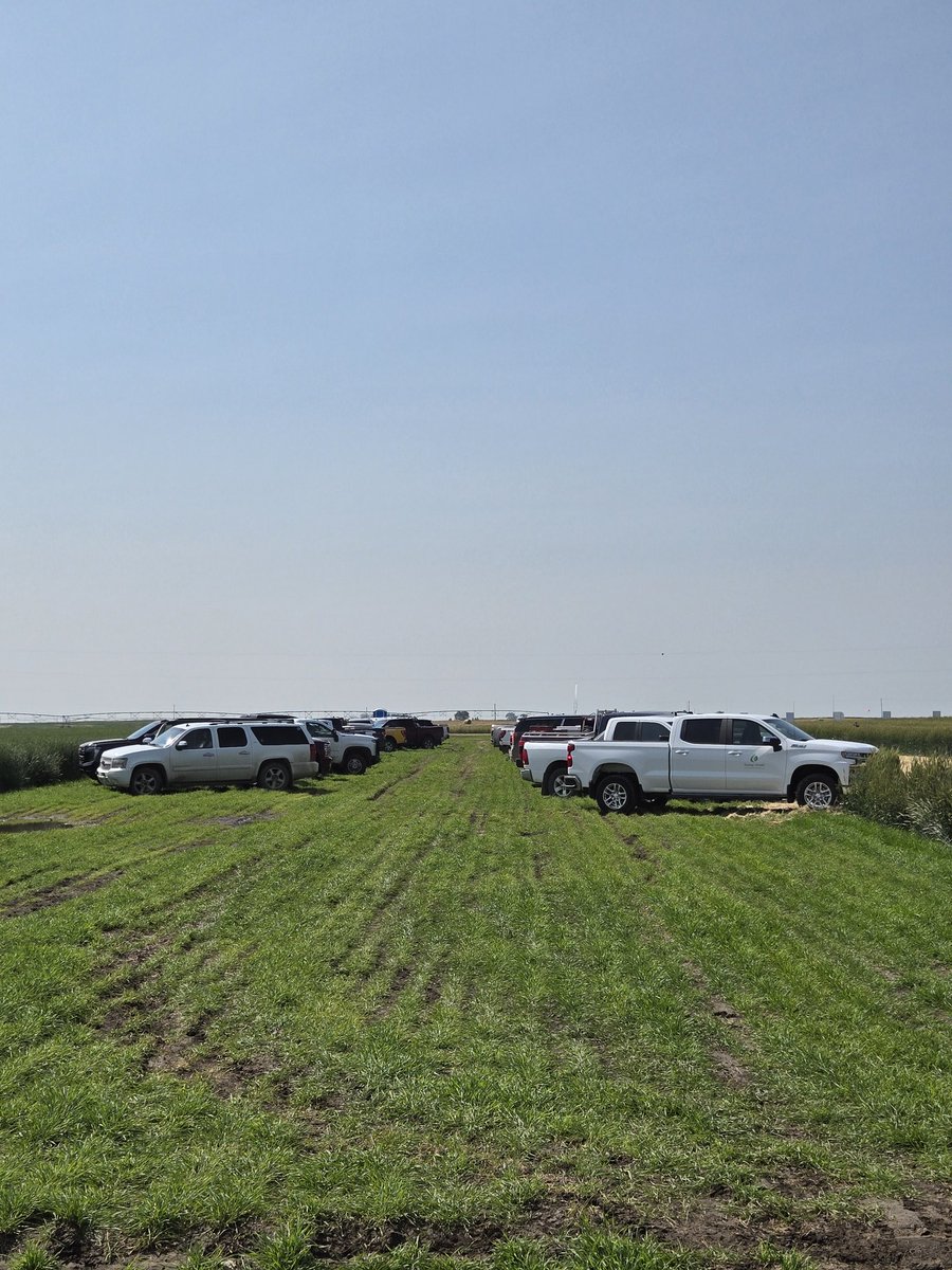 DrBart_Beef's tweet image. Another day spent presenting #AppliedBeefForageResearch #HybridFallrye #Triticale #KWSSeeds #EastCentralAlberta #Graze2025 @agbiousask @BeefResearch @albertabeef @GraemeFinn1