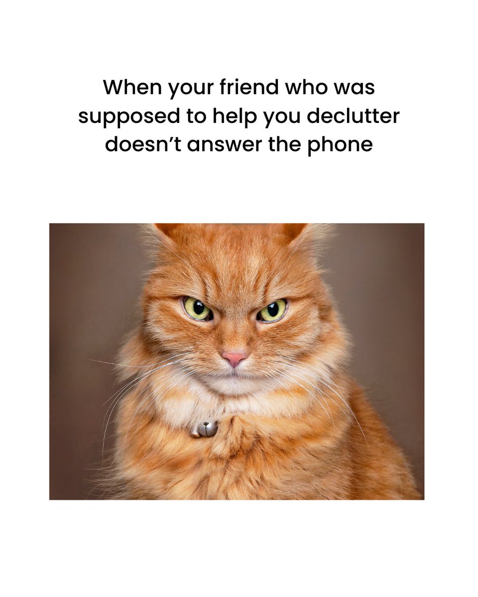 JunkRelief's tweet image. Don’t worry, we always answer the phone (and we actually show up with a truck). 🗑️

#declutterchicago #cleaningmemes #declutteringhumor