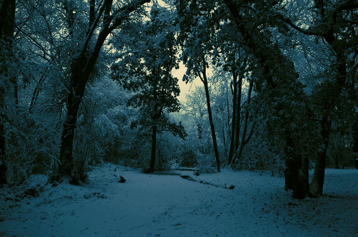 𝐏𝐢𝐜𝐭𝐮𝐫𝐞𝐬 𝐨𝐟 𝐭𝐡𝐞 𝐰𝐨𝐫𝐥𝐝 (@fo_theworld) on Twitter photo 