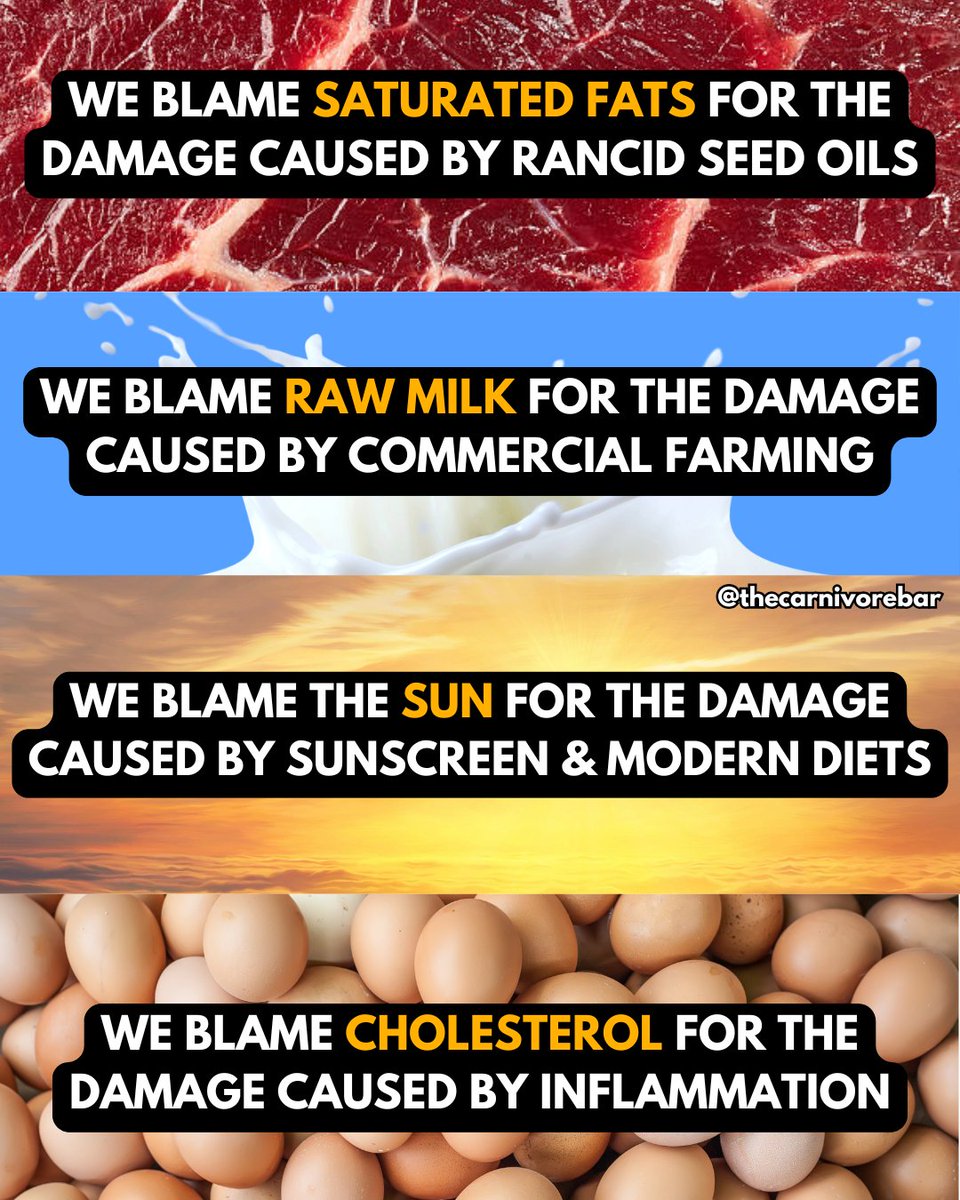 thecarnivorebar's tweet image. We blame saturated fat, raw milk, cholesterol, and the sun... but it's really the seed oils, processed carbs, and chemical cocktails. Blaming the firefighter won't put out the fire! 🔥 #FoodTruth #AncestralHealth #RealFoodHeals #CholesterolMyths #RawMilkRevolution