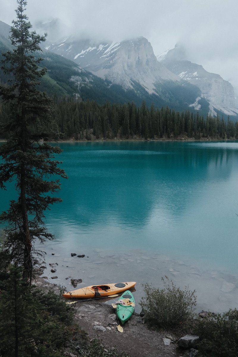 𝐏𝐢𝐜𝐭𝐮𝐫𝐞𝐬 𝐨𝐟 𝐭𝐡𝐞 𝐰𝐨𝐫𝐥𝐝 (@fo_theworld) on Twitter photo 