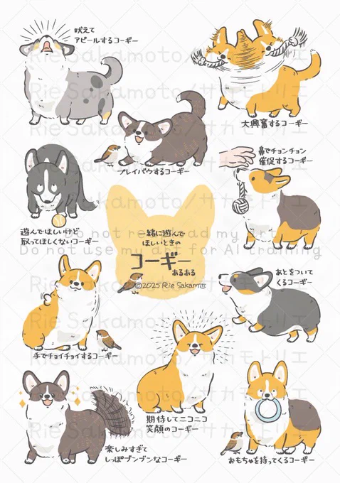 一緒に遊んでほしいときのコーギーあるある(11/11)
#コギまるけ #CORGIMARUKE 