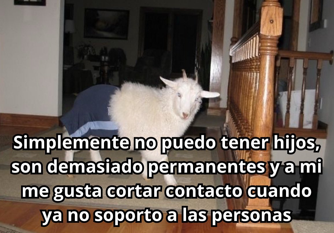 conoloracigarro's tweet photo. https://t.co/t5TeE6ZQ7s