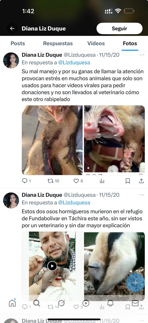 claumgta's tweet photo. Jonathan Palacios Inmoral https://t.co/hUc4q4egpf