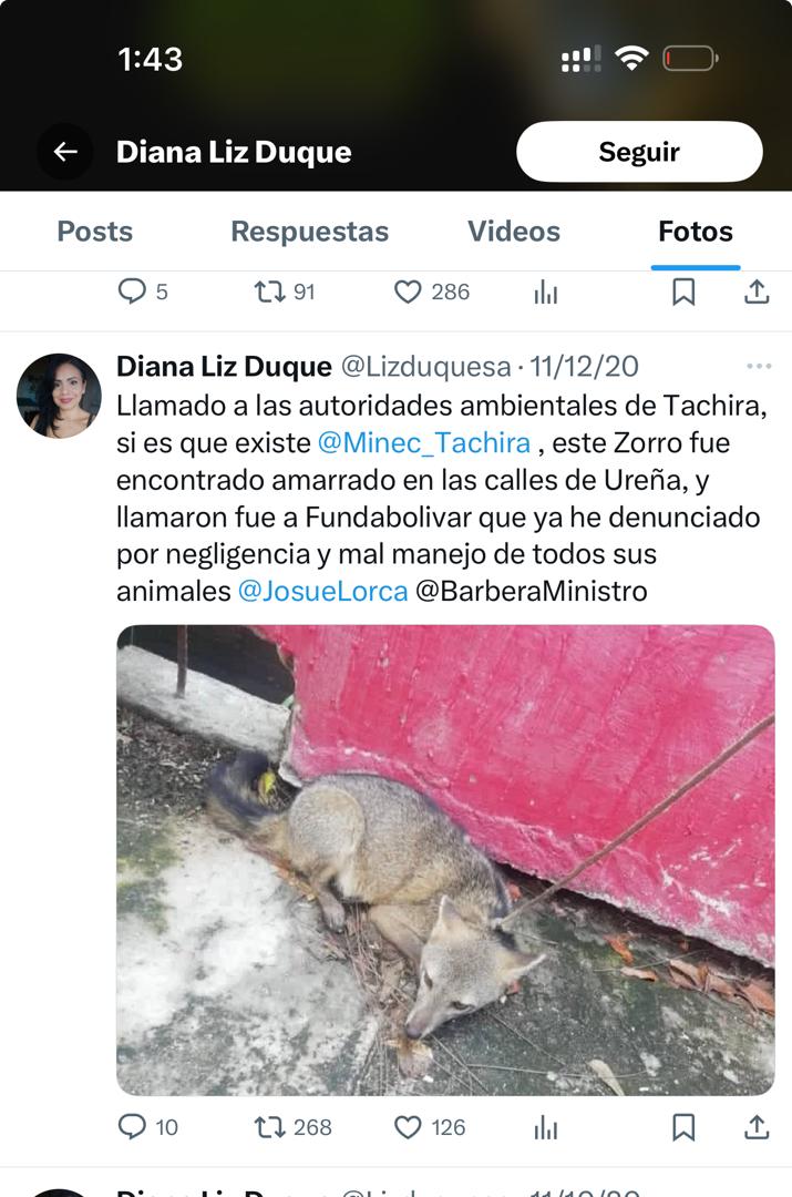 claumgta's tweet photo. Jonathan Palacios Inmoral https://t.co/hUc4q4egpf