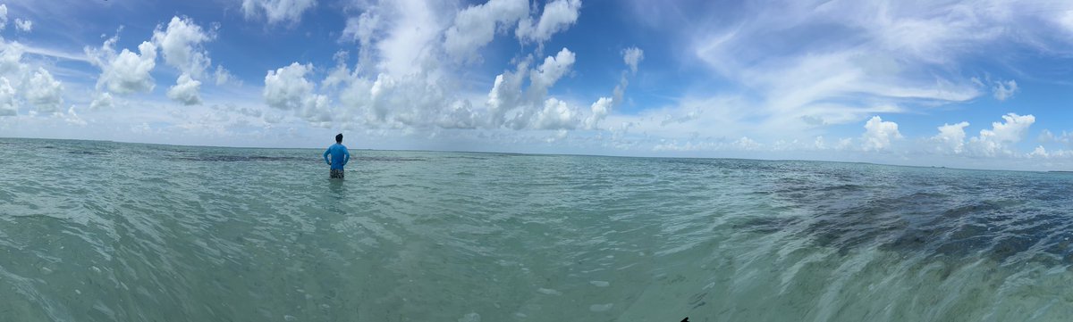 frostman007's tweet image. If the sea can calm itself, so can you.