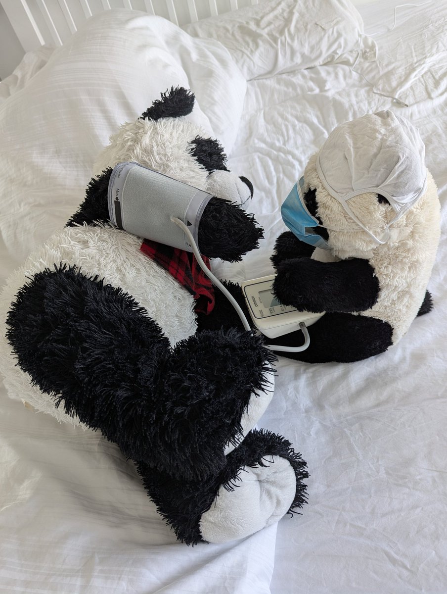 Mummy_Punda's tweet photo. Dr OB bear surgeon performed a re-stuffing operation on Giant Panda GP 🩻🩺🩹 The patient is doing well in  recovery. https://t.co/JzUImAO3N2
