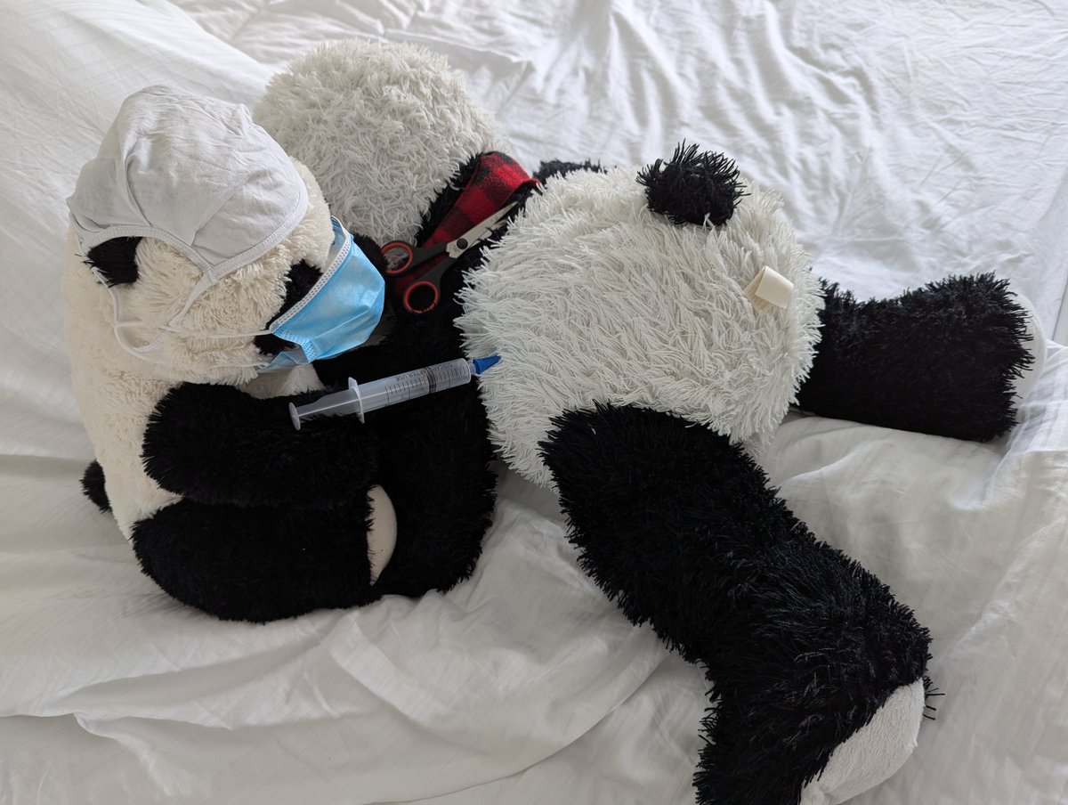 Mummy_Punda's tweet photo. Dr OB bear surgeon performed a re-stuffing operation on Giant Panda GP 🩻🩺🩹 The patient is doing well in  recovery. https://t.co/JzUImAO3N2