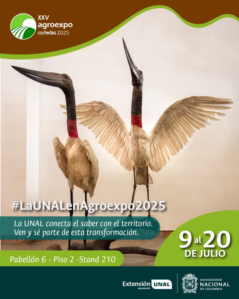💡  La UNAL te invita a vivir una experiencia donde la investigación, la innovación y la biodiversidad se conectan con el territorio 🌎.

🚜 Descubre los avances, las prácticas y las propuestas académicas que están revolucionando la manera en que producimos y habitamos el campo🐐