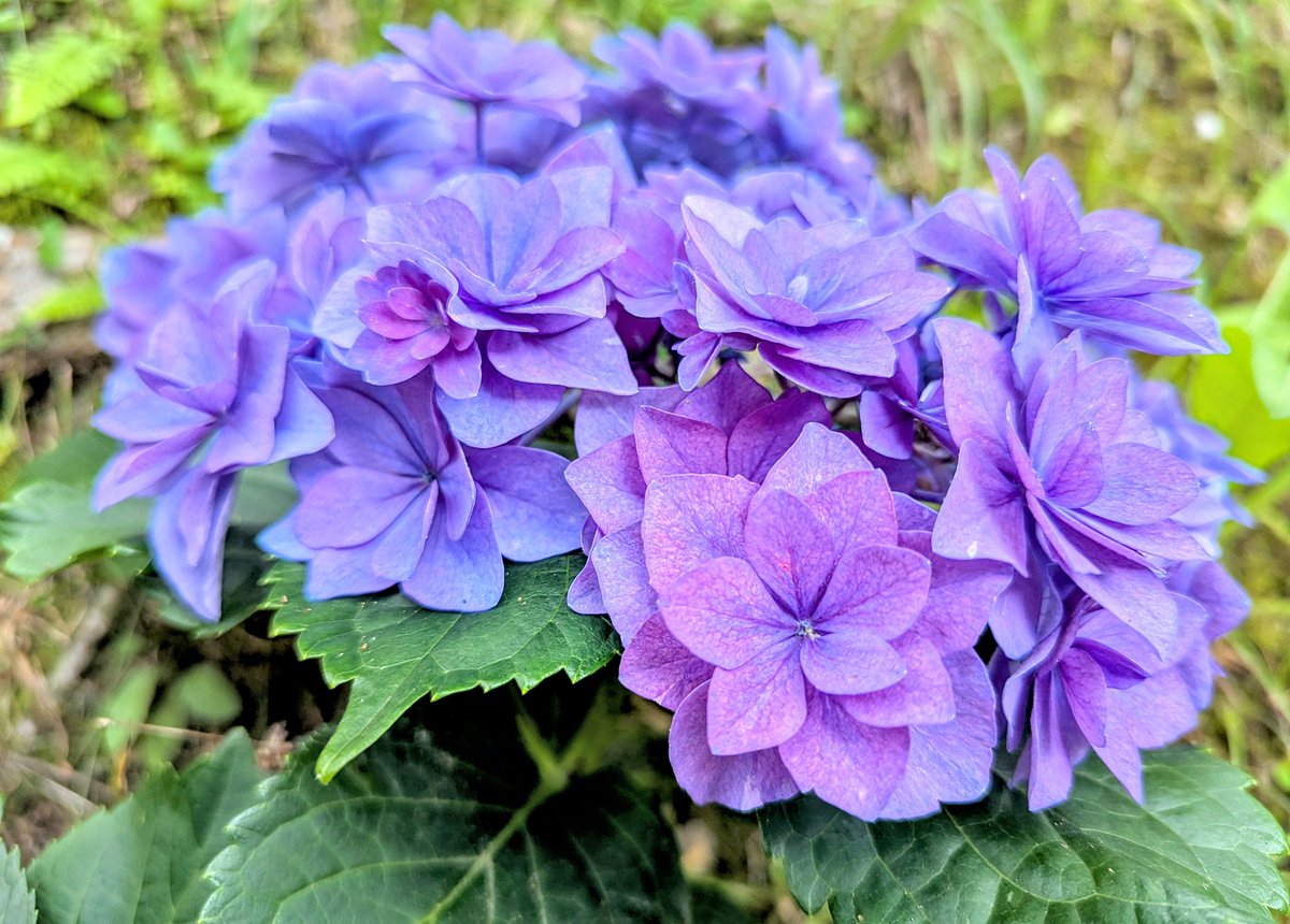 *

感謝の心を持つと
幸せになれる の本当は

どんな苦しみの中でも
ありがとうを見つけられたら
苦しみは和らぐ

あなたは言った
─痛みさえ 生きている証

ほら
感謝の心は
すぐに自分に還ってくる

*

#ﾏﾕﾘ