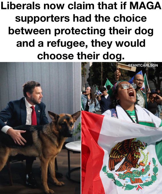 A dog serves better purpose than a refugee.