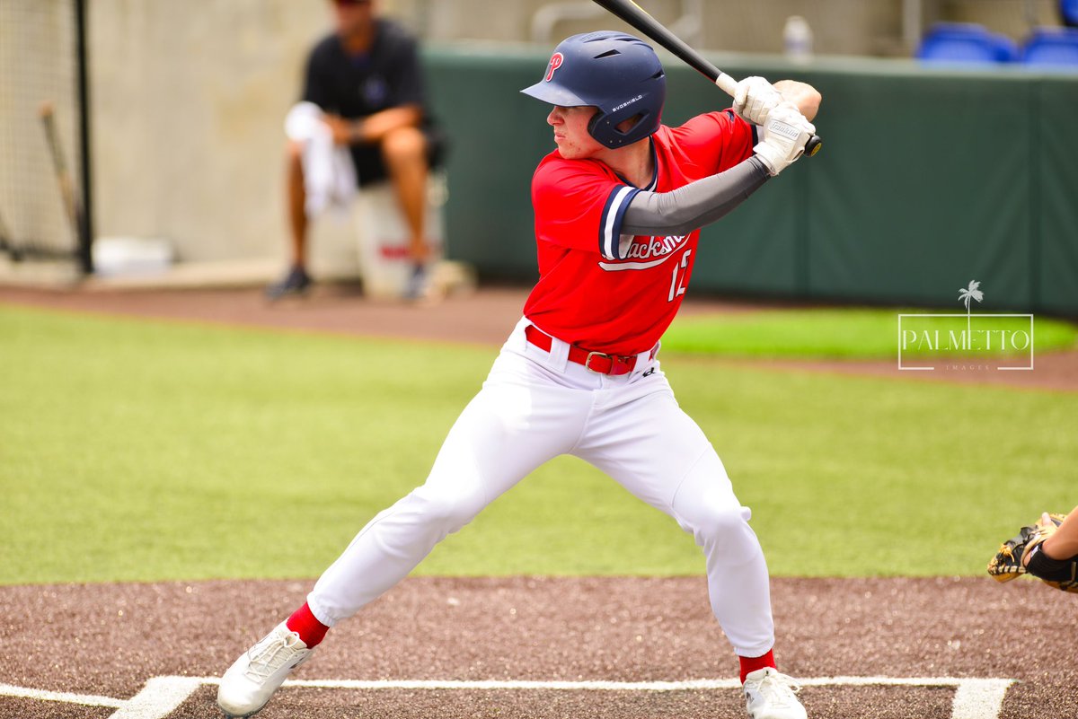 Palmetto Blacksmiths Baseball tweet media