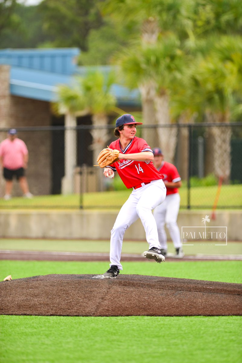 Palmetto Blacksmiths Baseball tweet media