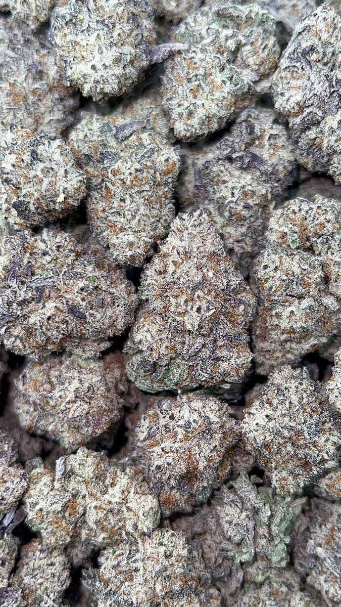 ITALIAN CREAM

28g $130