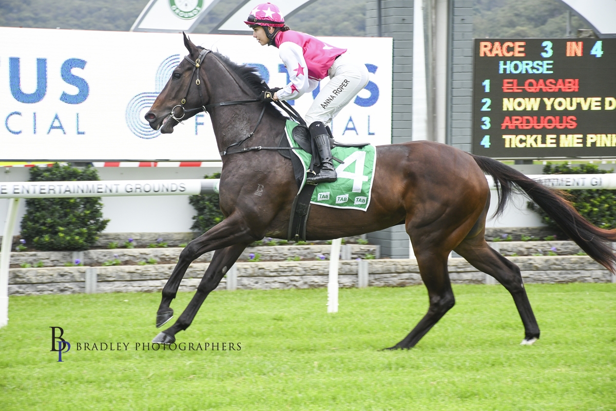 PROVINCIAL RACING (@provracingnsw) on Twitter photo WHEN <a href="/minerviniracing/">Minervini Racing</a> spotted a Vancouver filly at 2023 Inglis Classic yearling sale he knew she would fit the bill for a ladies’ syndicate. He was able to buy her for $25k & 12 women were tickled pink when Tickle Me Pink broke through at Port Macquarie 👇provincialracingnsw.com.au/post/ladies-ti… WHEN <a href="/minerviniracing/">Minervini Racing</a> spotted a Vancouver filly at 2023 Inglis Classic yearling sale he knew she would fit the bill for a ladies’ syndicate. He was able to buy her for $25k & 12 women were tickled pink when Tickle Me Pink broke through at Port Macquarie 👇provincialracingnsw.com.au/post/ladies-ti…