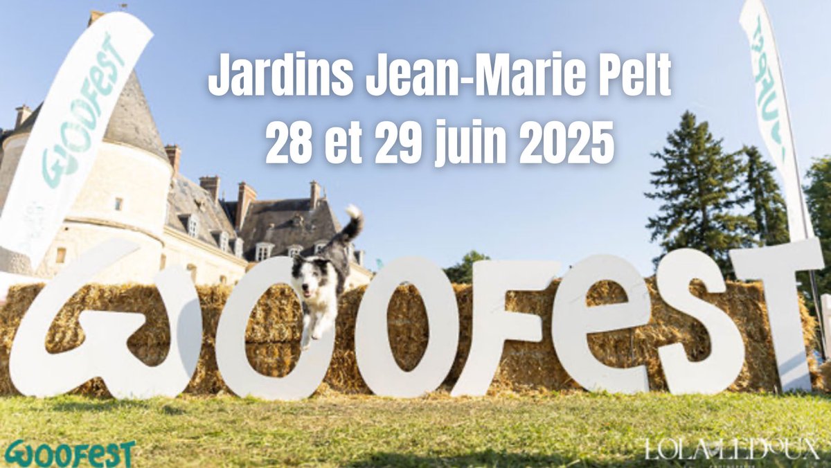📆 WOOFEST - METZ (57) 📆 
🎯 Samedi 28 et dimanche 29 juin

Nous avons la chance d’être une nouvelle fois invités à la WOOFEST qui se déroulera à Metz (57), ce samedi 28 et dimanche 29 juin 🤩

Véritable FESTIVAL incontournable destiné à l'ensemble des passionnés d'animaux de