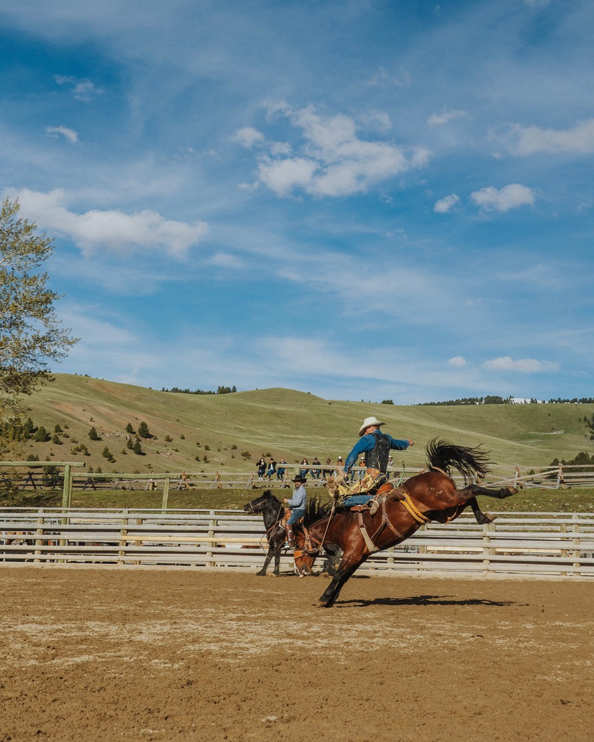RockCreekRanch's tweet photo. Summer on The Ranch means rodeos, wagon rides, whiskey, and endless outdoor adventures — experience the true spirit of Montana all season long. https://t.co/aHVnurpLas