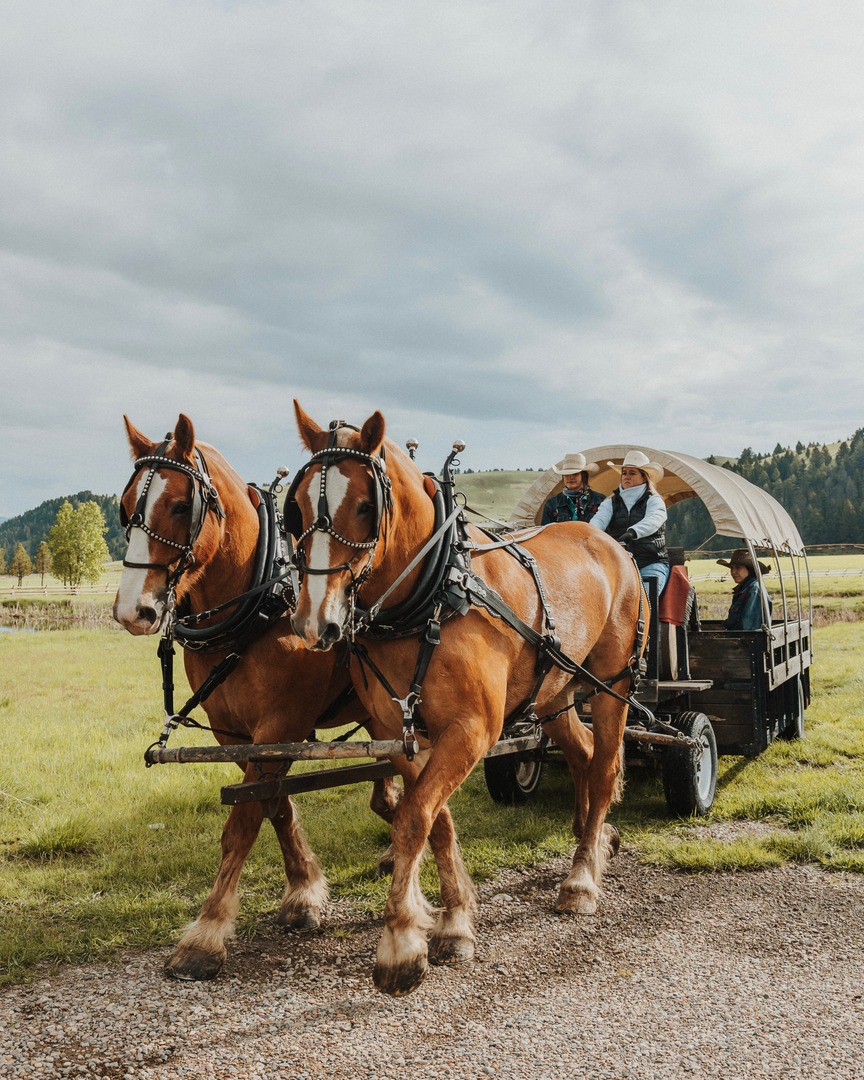 RockCreekRanch's tweet photo. Summer on The Ranch means rodeos, wagon rides, whiskey, and endless outdoor adventures — experience the true spirit of Montana all season long. https://t.co/aHVnurpLas